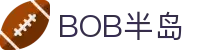 BOB半岛·（中国）官方网站 - BOBSPORTS | 高赔率平台,高清赛事直播